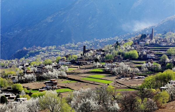 图片默认标题_fororder_中路藏寨迷人春色-供图-丹巴县文化广播电视和旅游局