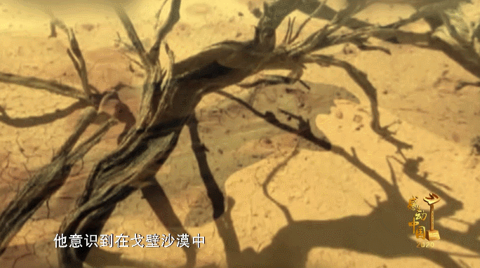 感动中国丨国测一大队：用汗水和生命丈量祖国大地