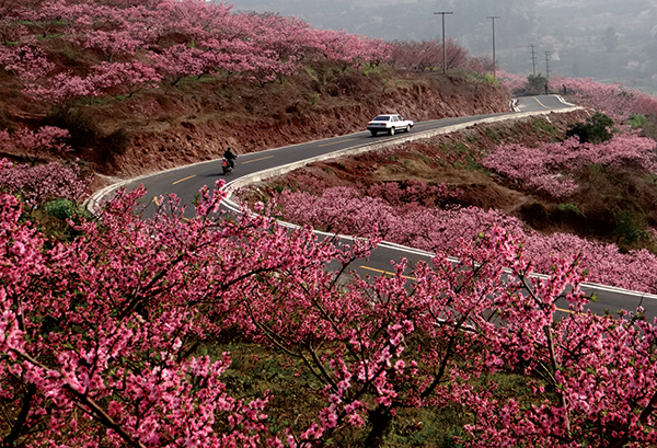 图片默认标题_fororder_丹棱县梅湾环线