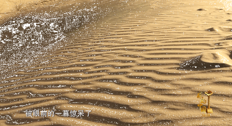 感动中国丨国测一大队：用汗水和生命丈量祖国大地