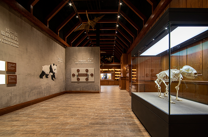 成都大熊猫博物馆正式开馆