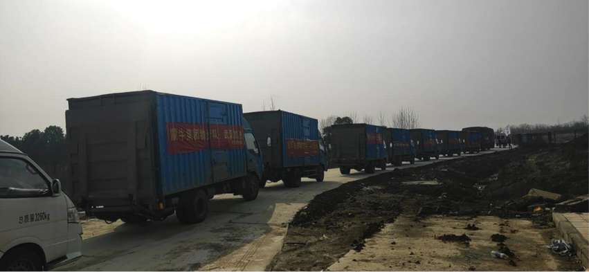 图片默认标题 图片默认标题_fororder_1