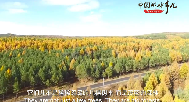 【中国那些事儿】植树添新绿扶贫再创新 中国这一壮举造福全世界