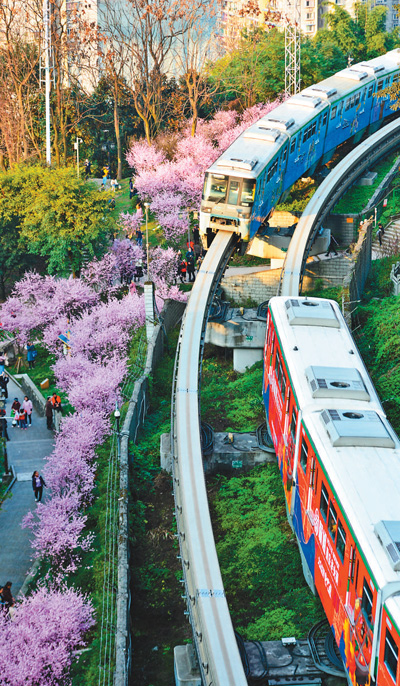 穿行花海