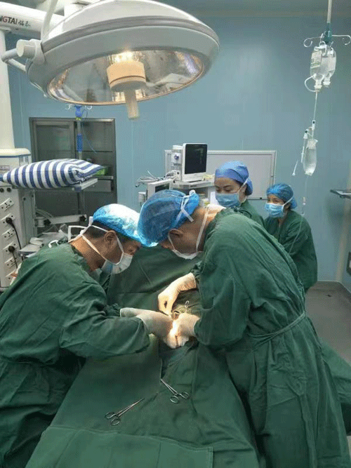 图片默认标题_fororder_1