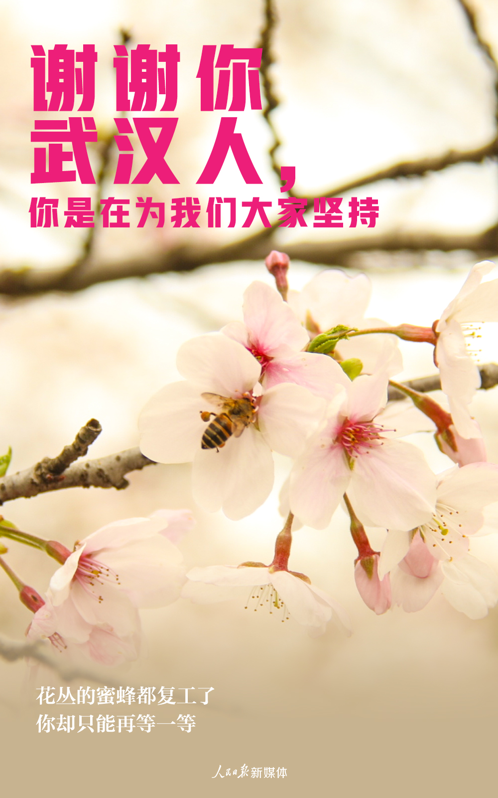 【人民日报】谢谢武汉人，你是在为我们大家坚持