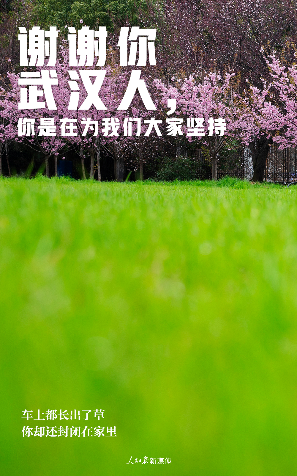 【人民日报】谢谢武汉人，你是在为我们大家坚持