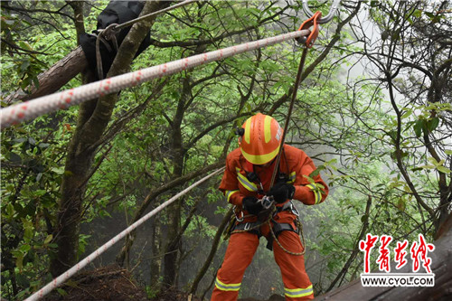 【追梦火焰蓝】湖南张家界消防支队以专业化建设打响山岳救援品牌