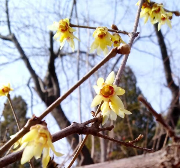 2月23日 火曜日_fororder_20210221