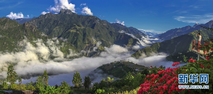 云南怒江州境内国家重点保护野生动植物保护率达到100%