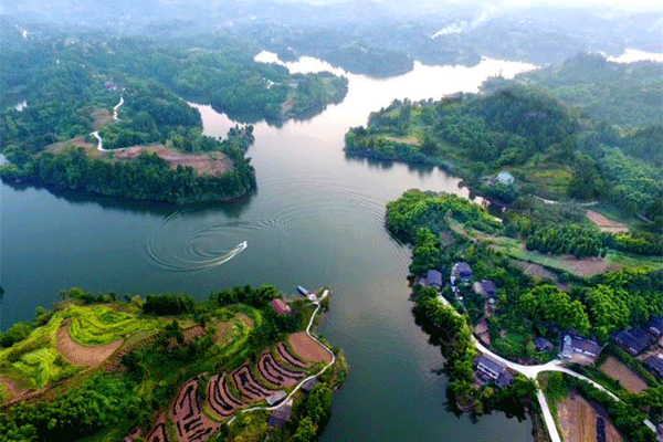 图片默认标题_fororder_1