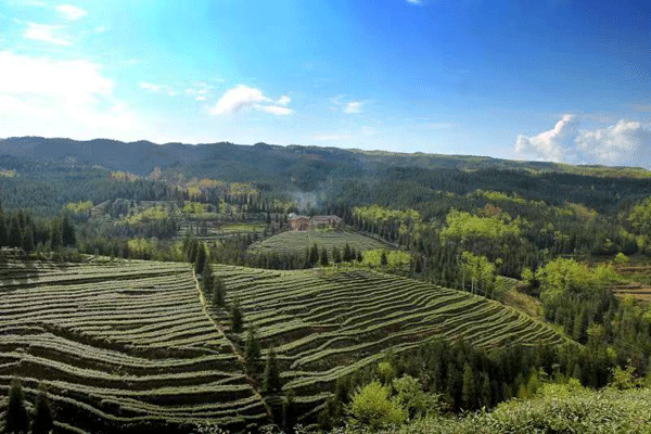 图片默认标题_fororder_4