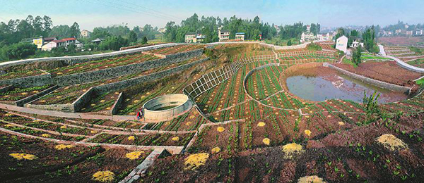 图片默认标题_fororder_28f944a38fdc349b63d91f426ad1283b