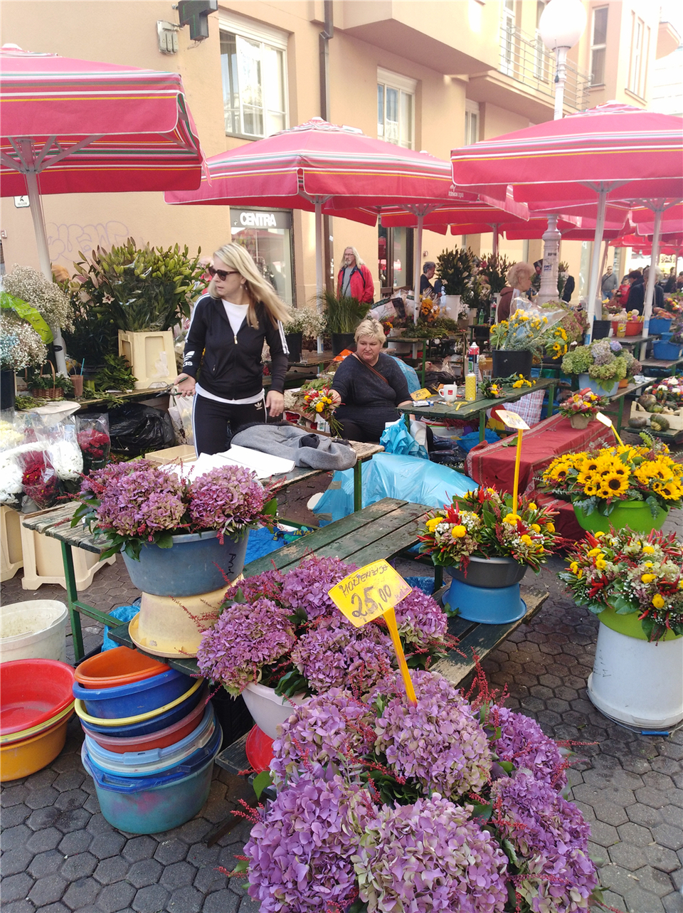 （已修改）【图片专题】克罗地亚萨格勒布街头的鲜花摊位