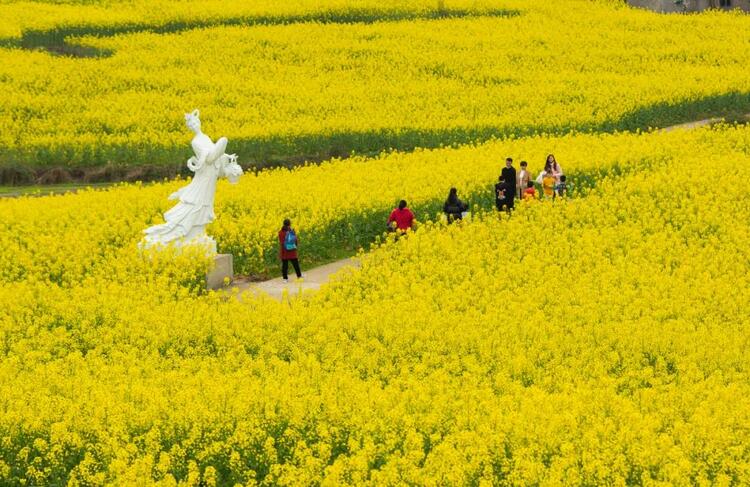 【B】重庆忠县马灌镇灌湖水乡景区将于3月5日举办菜花节活动