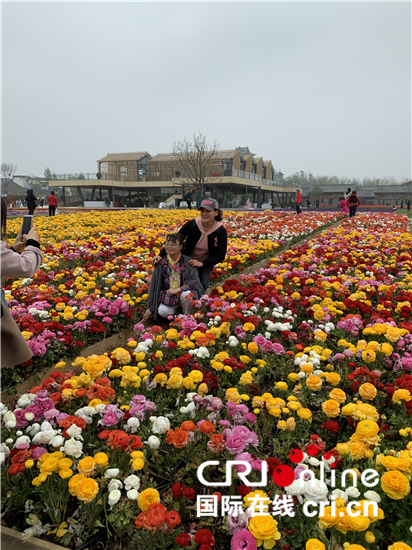 北京世园会正式开园 精彩演出欢迎中外游客