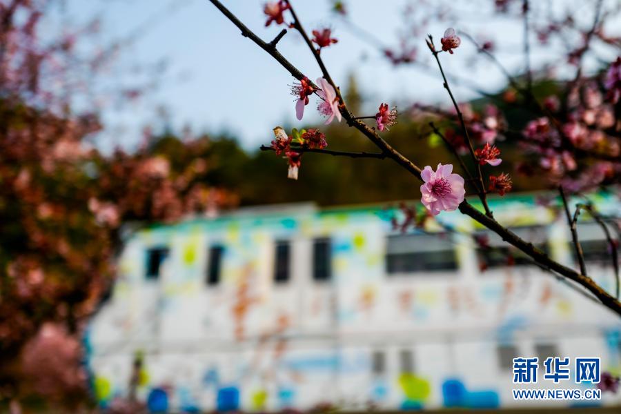 【城市远洋】重庆：一路繁花相送 带你驶向春天
