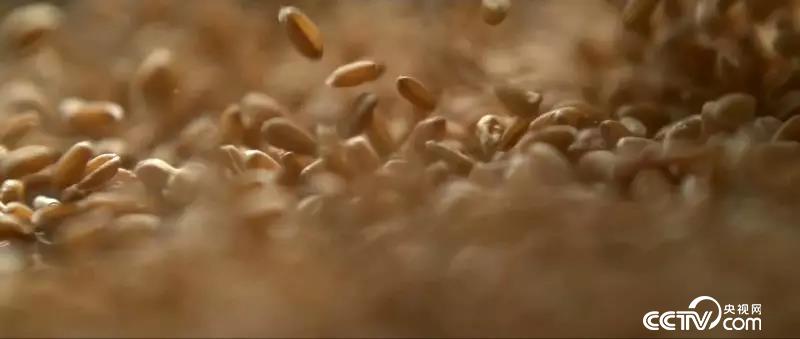 图片默认标题 图片默认标题_fororder_2019051022015972312