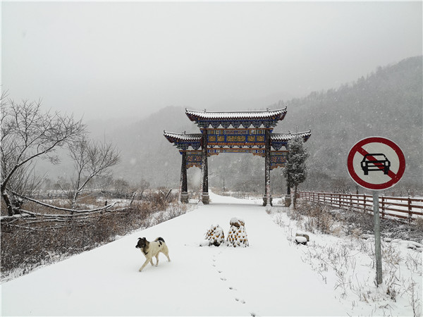 秦岭深山 雪落成画