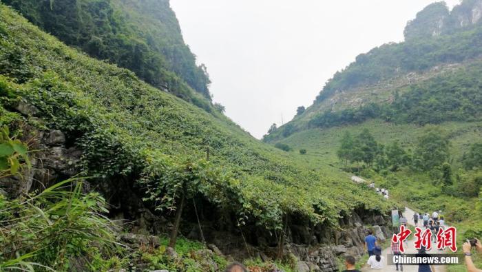 两会前瞻：脱贫摘帽不是终点，中国怎样向乡村振兴过渡？