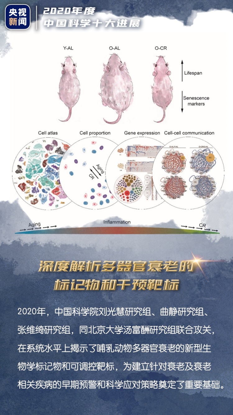 中国科学十大进展惊艳世界！一组海报，带你走进科学→