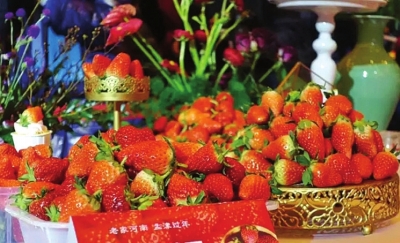 【旅游资讯-图片】洛阳市孟津县草莓嘉年华启幕