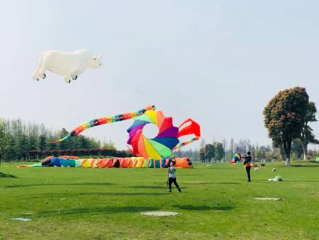 花在淳慢城 何须出金陵，第十三届中国·高淳国际慢城金花旅游节即将开幕