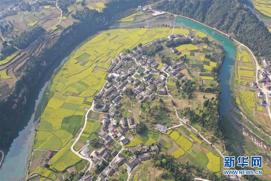 【新华网】贵州凤冈长碛古寨油菜花开