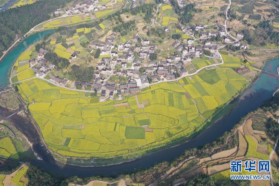 【新华网】贵州凤冈长碛古寨油菜花开