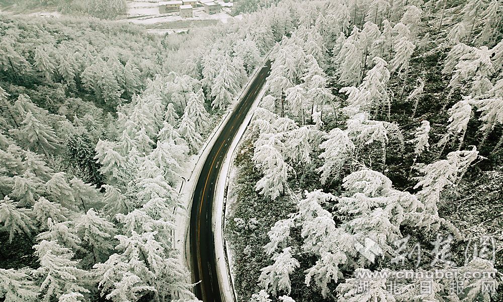 湖北现南方版“林海雪原” 银装素裹风景如画（图）