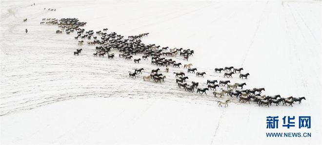 图片默认标题_fororder_machang6