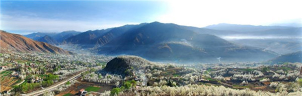 图片默认标题_fororder_金川梨花似海