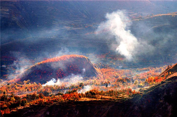 图片默认标题_fororder_神仙包秋色