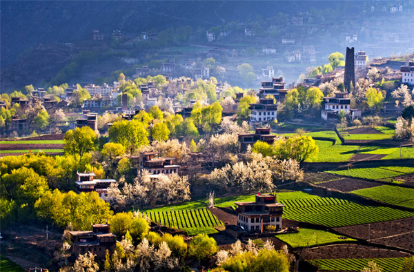 图片默认标题_fororder_丹巴春色迷人-供图-丹巴县文化广播电视和旅游局