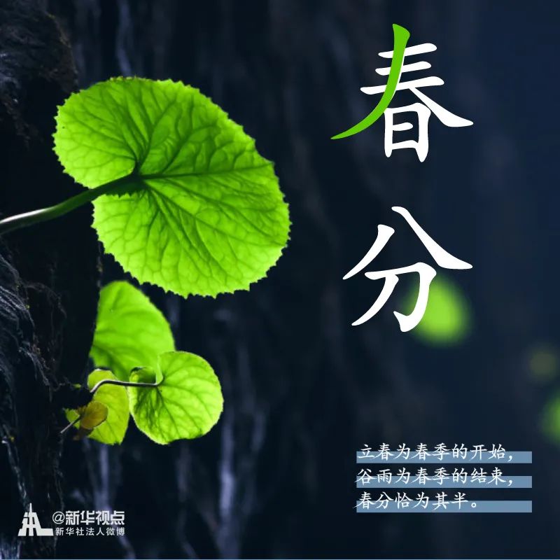#新华网#春意正好，春分来了