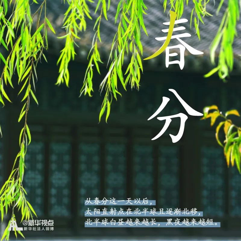 #新华网#春意正好，春分来了