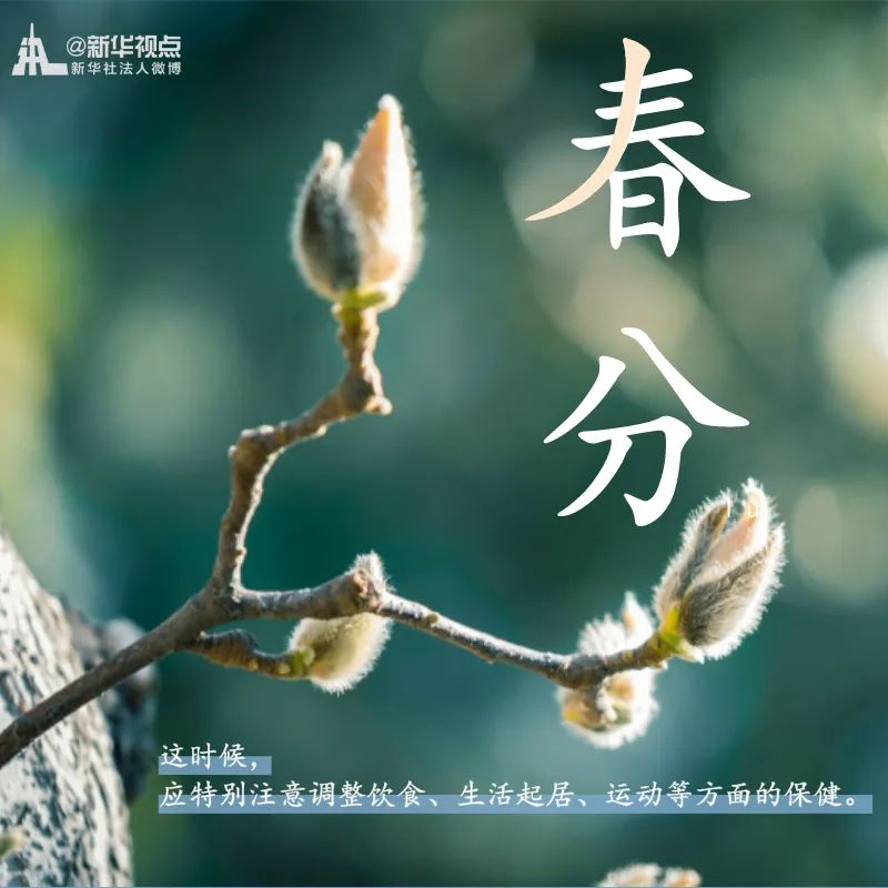 #新华网#春意正好，春分来了