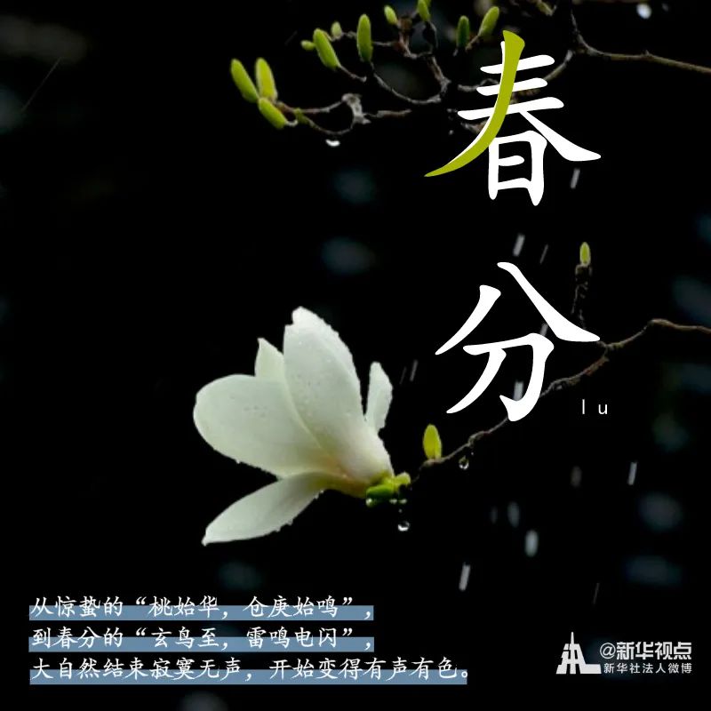 #新华网#春意正好，春分来了