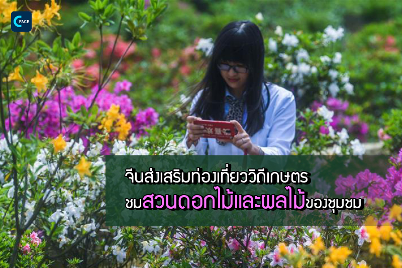 图片默认标题_fororder_05_1