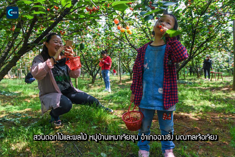 图片默认标题_fororder_05_3