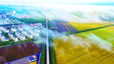 北大荒开发建设:铺展中国特色农业现代化之路