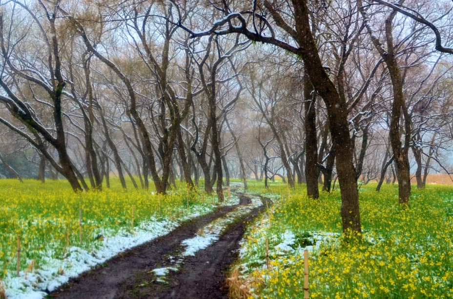 3月2日 火曜日_fororder_namiki