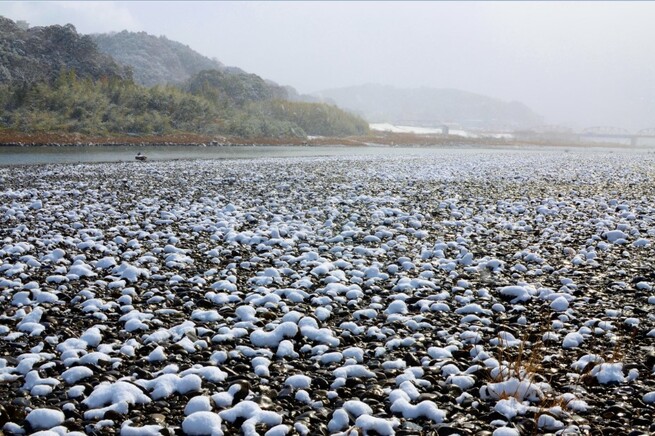 3月2日 火曜日_fororder_shimanto