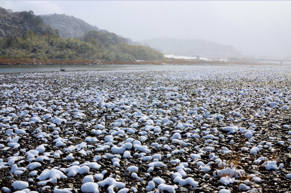 3月2日 火曜日_fororder_shimanto