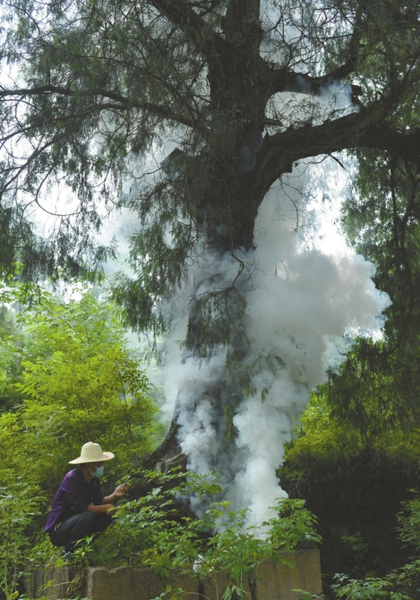 图片默认标题_fororder_5