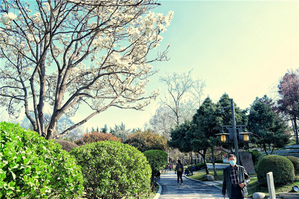 西安曲江:春日盛景惹人醉 观花踏青正当时