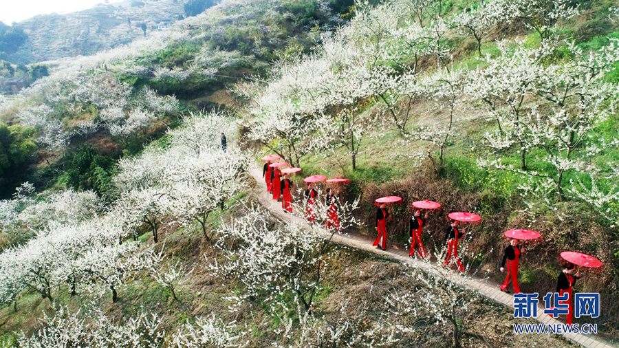 【城市远洋】三月山城春光好 梁平赏花正当时