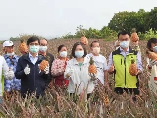 台湾“菠萝闹剧”：拿民众的钱洗民众的脑！