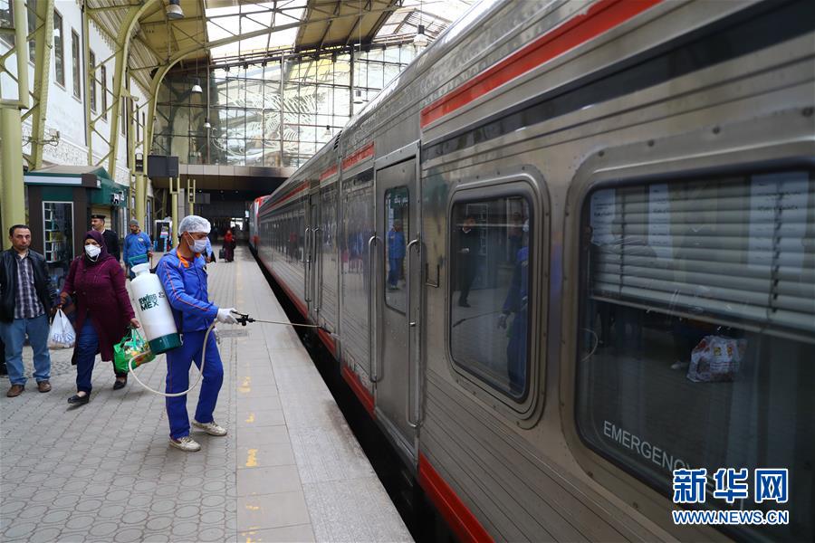 新华网：埃及新冠肺炎确诊病例增至294例