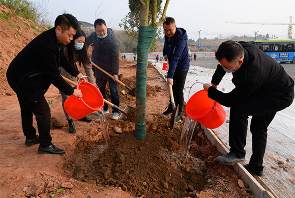 植树现场 供图 中江县委宣传部当天早上9点,在县城北塔西路北延线附近